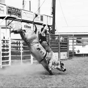 Meet your Posher, Lane